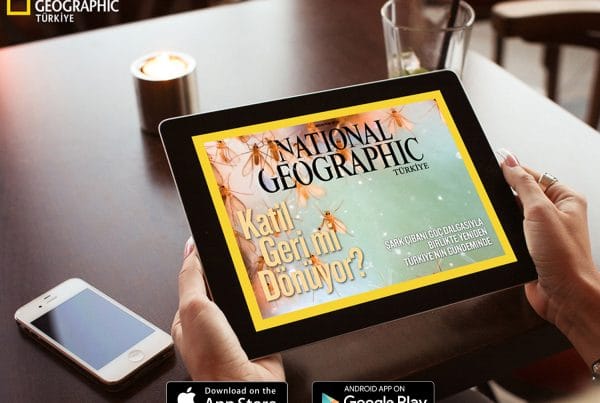 National Geographic Creative Design